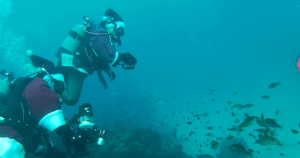 GoPro（ゴープロ）ダイビング！伊豆のダイビングスポット4選